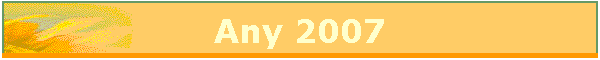 Any 2007