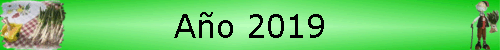 A�o 2019